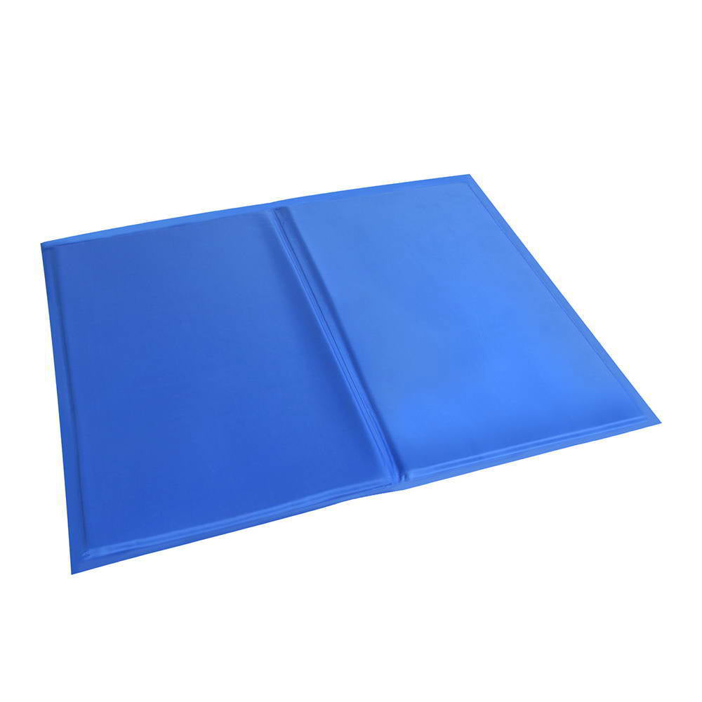 Blue cutting board on a white background at Pet Servo