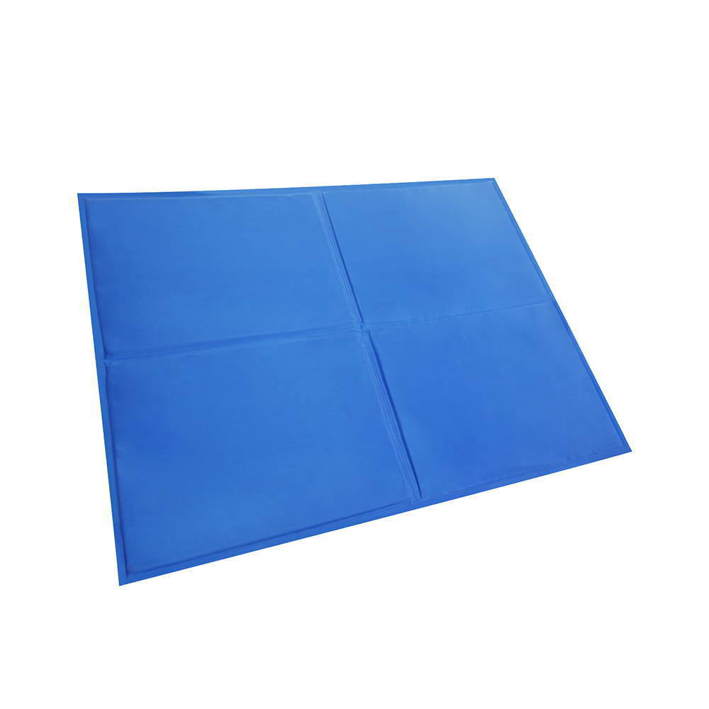 Blue mat on a white background at Pet Servo