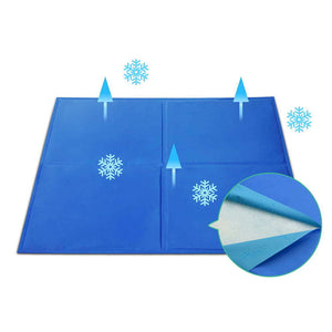 Blue ice tray with snowflake designs on a white background at Pet Servo