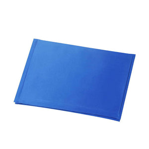 Blue mat on a white background at Pet Servo