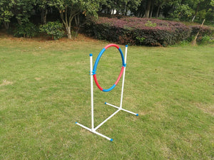 A PVC plastic agility hoop jumps for dogs or horses, featuring a red and blue hoop on a white metal stand with blue caps, set up on a green grass lawn at Pet Servo