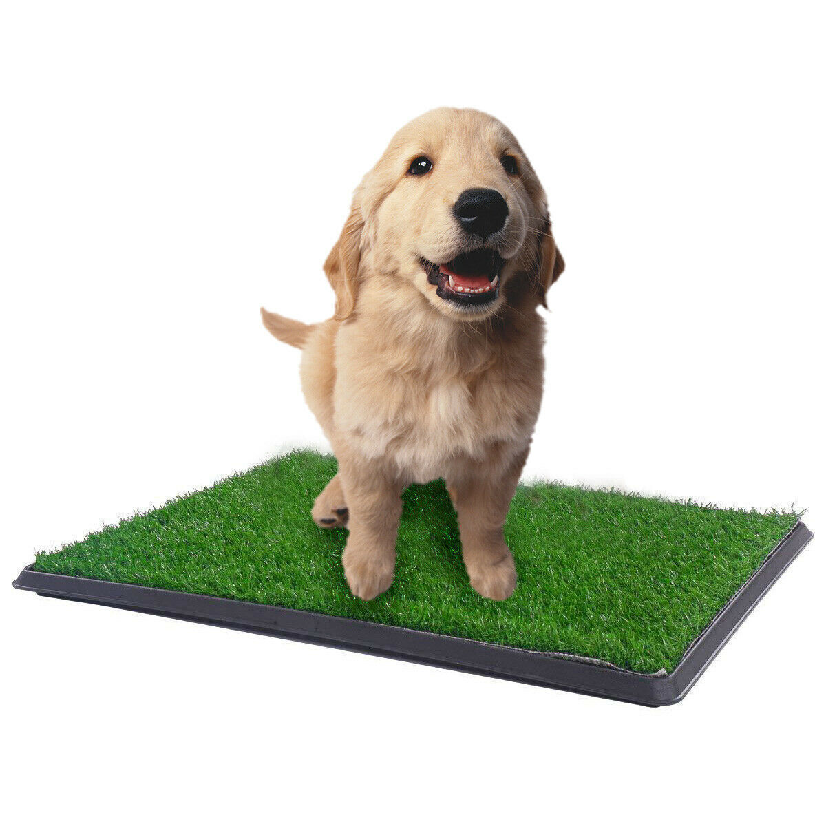 YES4PETS - Indoor pet Toilet Grass Training Mat Loo Pad Potty Petservo-1