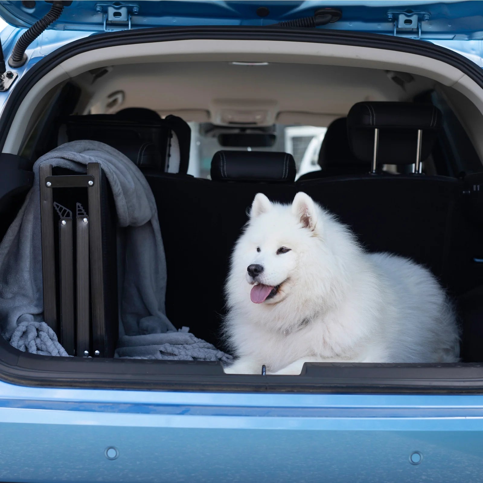 Hakuna Pets - Deluxe Aluminium Pet Ramp