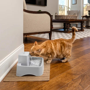 PetSafe® - Drinkwell® 1.8l Pet Fountain - petservo