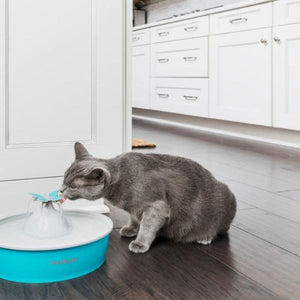 PetSafe - Drinkwell® Butterfly Pet Fountain - petservo