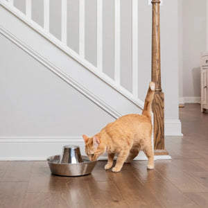 PetSafe® - Seaside Stainless Steel Pet Fountain 1.8l - petservo