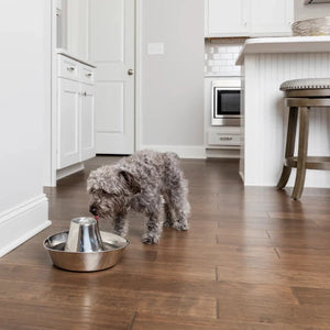 PetSafe® - Seaside Stainless Steel Pet Fountain 1.8l - petservo