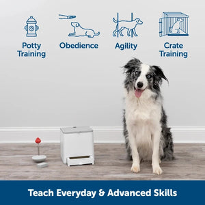 PetSafe® - Teach & Treat Remote Reward Trainer - petservo