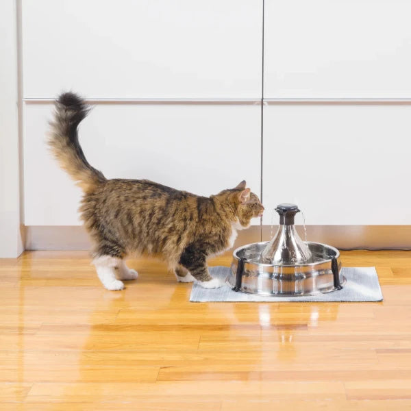 Petsafe - Drinkwell® 360 Stainless Steel Pet Fountain - petservo