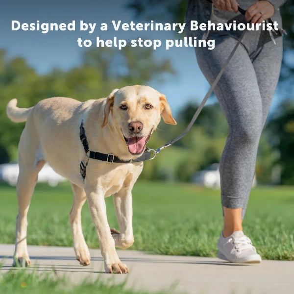 PetSafe - Easy Walk® Harness, No Pull Dog Harness - petservo