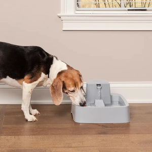 PetSafe® - Drinkwell® 3.7l Pet Fountain - petservo
