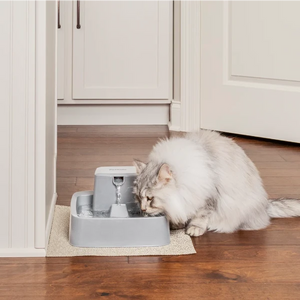 PetSafe® - Drinkwell® 3.7l Pet Fountain - petservo