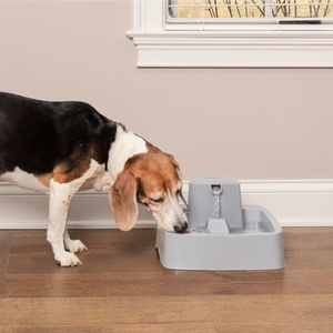 Petsafe - Drinkwell® 7.5 Litre Pet Fountain - petservo
