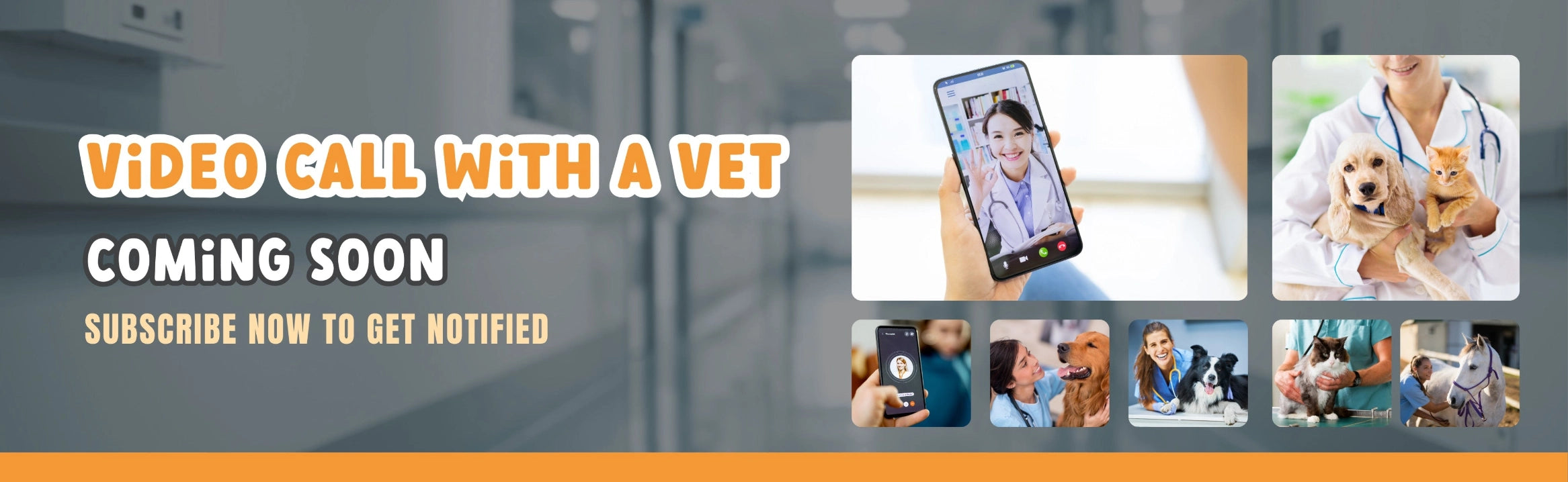 Video Call With A Vet - Petservo