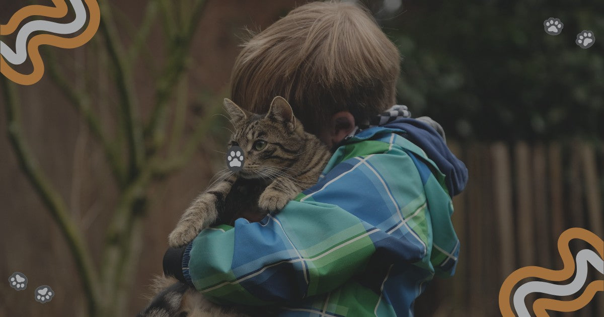 Pet Servo - Mission Story Picture