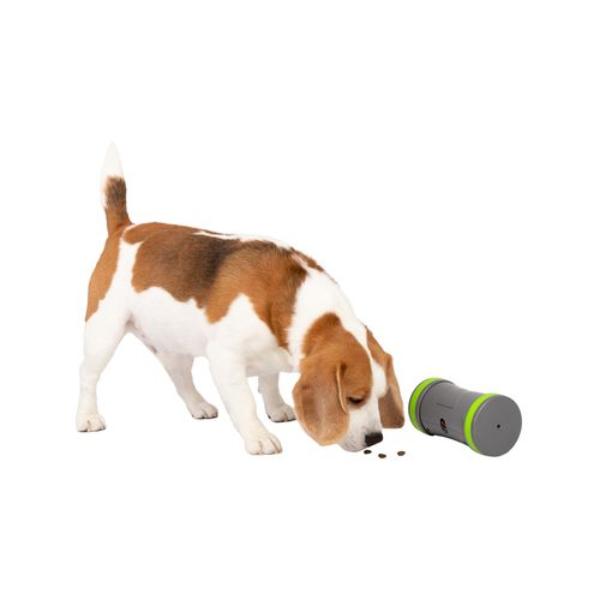 Petsafe - Kibble Chase™ Roaming Treat Dispenser - Dog Toy - Pet Servo