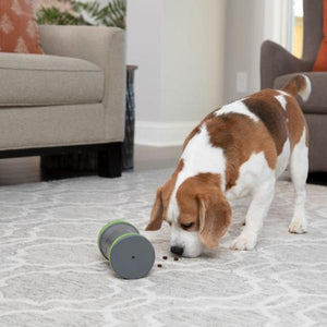 Petsafe - Kibble Chase™ Roaming Treat Dispenser - Dog Toy - Pet Servo
