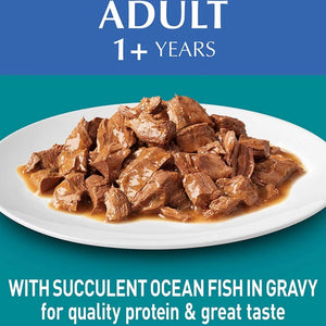 Purina One - Adult Ocean Fish In Gravy Wet Cat Food 70g - Petservo