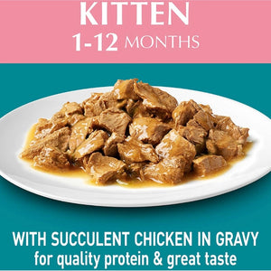 Purina One - Kitten Chicken In Gravy Wet Cat Food 70g - Petservo