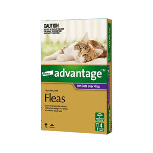 Elanco Advantage flea treatment packaging for cats over 4 kg on a white background at Pt Servo