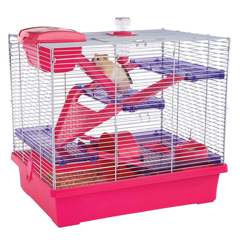 Shop Rosewood - Pico XL Pink at Petservo