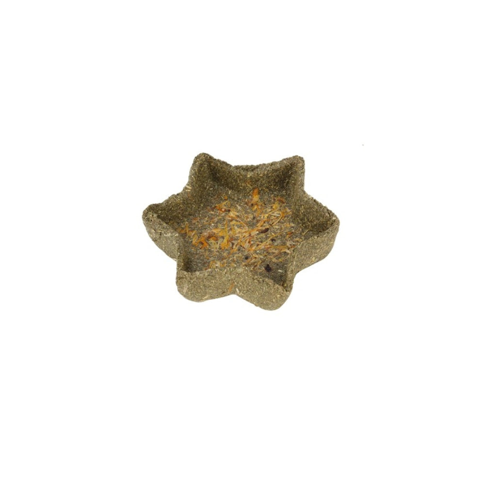 Nature Island - Timothy Star Dish - Petservo