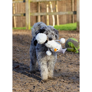 Rosewood - Snoop Snowman - Pet Servo