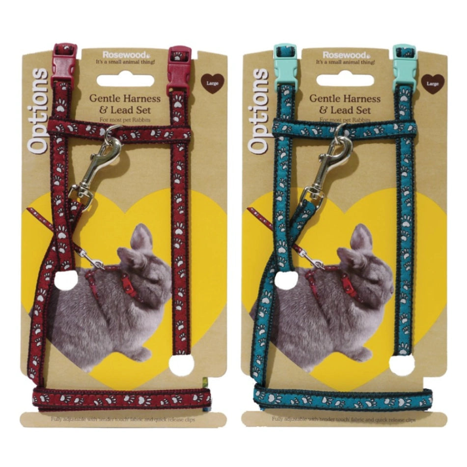 Rosewood - Paw Print Harness and Lead Set - Small - Petservo