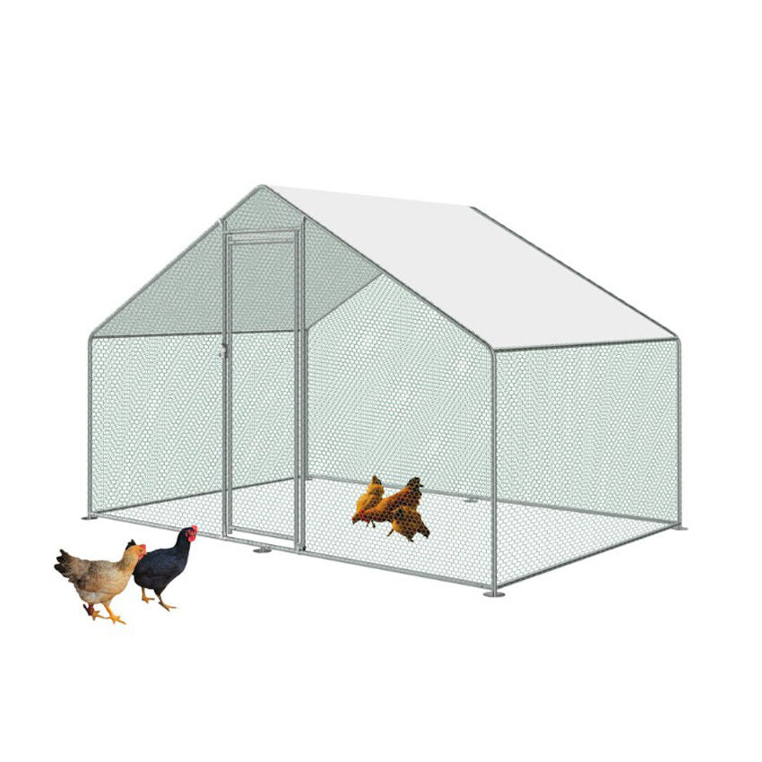 Chicken coop with three chickens on a white background at Pet Servo