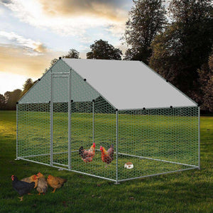 Chicken coop with chickens in a grassy area at Pet Servo