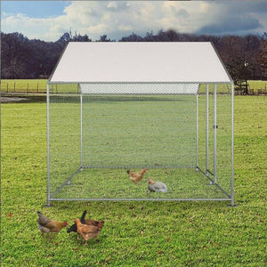 Chicken coop with chickens on a grassy field at Pet Servo