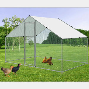 Chicken coop with chickens in a grassy area at Pet Servo