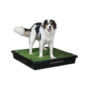 The Pet Loo® Portable Pet Toilet - Pet Servo