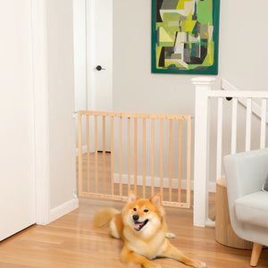 Dog sitting on a wooden floor in a room with a baby gate and white crib.