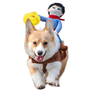 A corgi dog wearing a brown cowboy-style harness costume with a doll rider on its back, isolated on a white background.