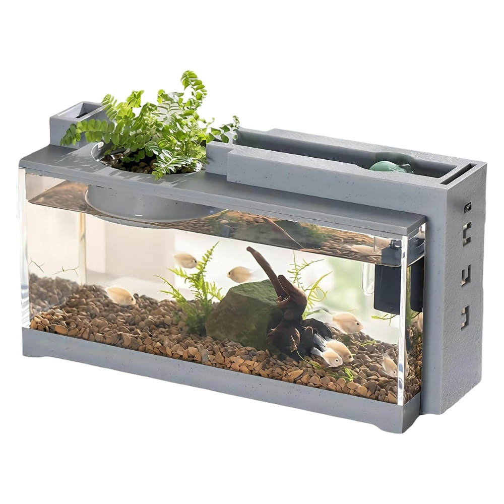 Small aquarium with plants and fish on a white background at Petservo