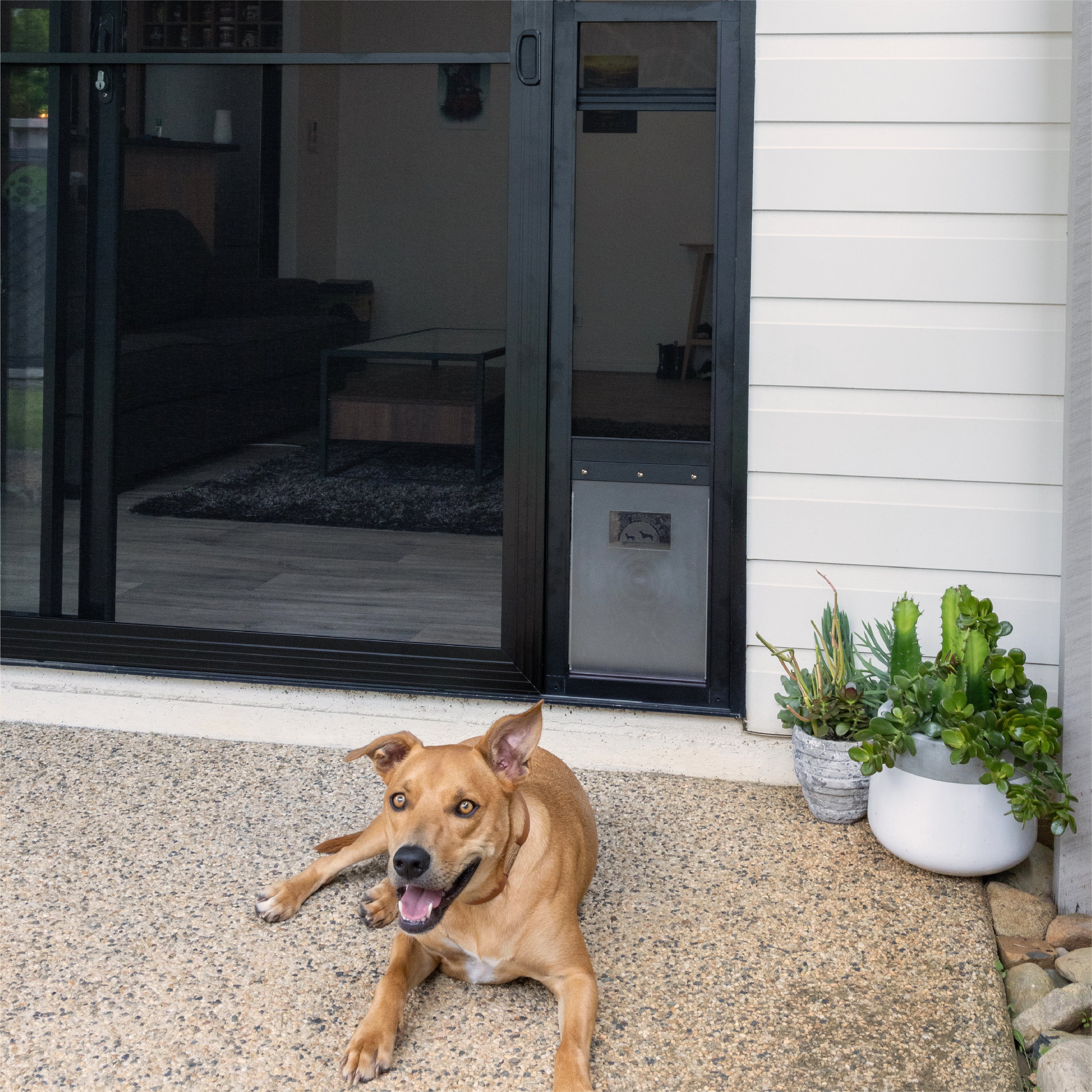 Hakuna Pets Mesh Patio Pet Door (2025) Clear Weather Resistant