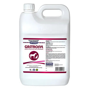 Vetsense Gastrosyll bottle on a white background at Pet Servo