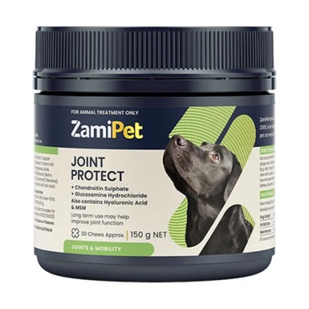 Buy ZamiPet Joint Protect Dog Chews at Petservo