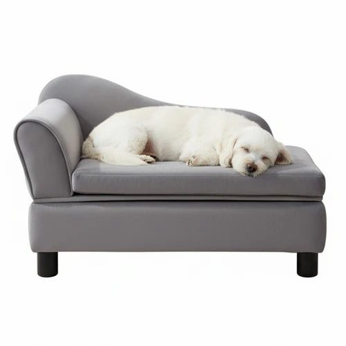 White dog sleeping on a gray pet bed against a white background at Pet Servo
