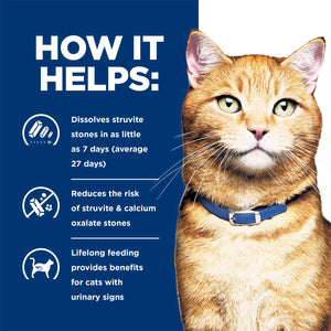 Cat with a blue collar on a blue background with text about cat health benefits.