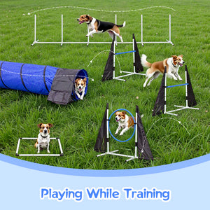 Dogs playing and training on an agility course in a grassy area.