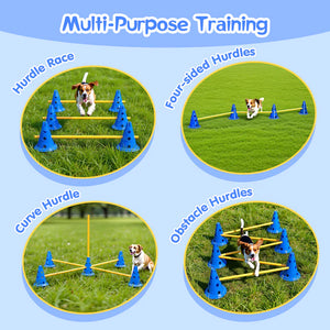 Dog training obstacles with text indicating different types of training exercises on a blue background.