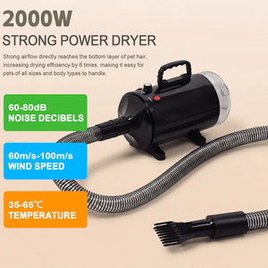 2000W strong power dryer with specifications on a beige background at Pet Servo