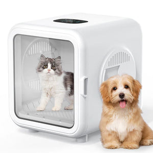 Pet carrier with a cat inside and a dog standing next to it on a white background at Pet Servo
