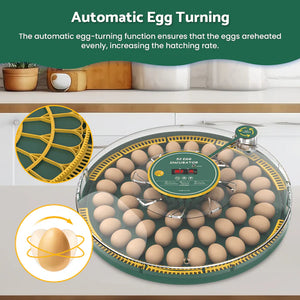 Egg incubator with eggs and automatic egg-turning mechanism on a kitchen counter.