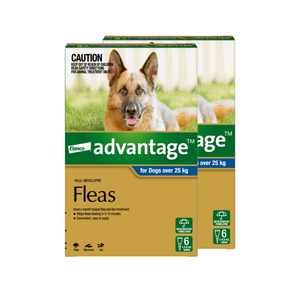 Advantage flea treatment packaging for dogs over 25 kg with a German Shepherd on the box at Petservo.