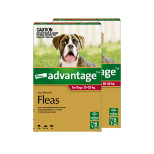 Advantage flea treatment packaging for dogs with a dog on the label at Petservo.