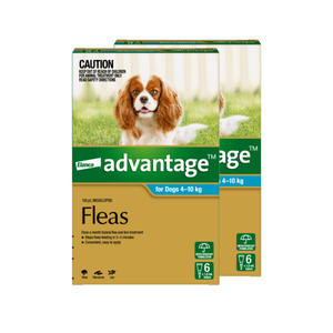 Advantage flea treatment packaging for dogs with a dog on the label at Petservo.