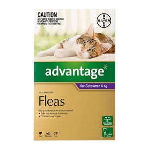 Bayer Advantage flea treatment for cats over 4 kg on a white background at Petservo